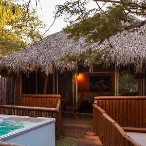 Campsite Palm Valley, Mazatlan